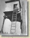 Watch Tower